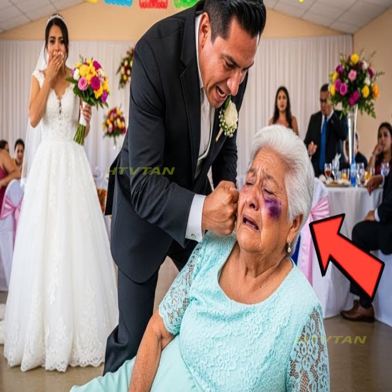 SU HIJO LA GOLPEÓ Y LA DERRIBÓ EN PLENA BODA… PERO LA ABUELA SE VENGÓ DE UNA FORMA INESPERADA….