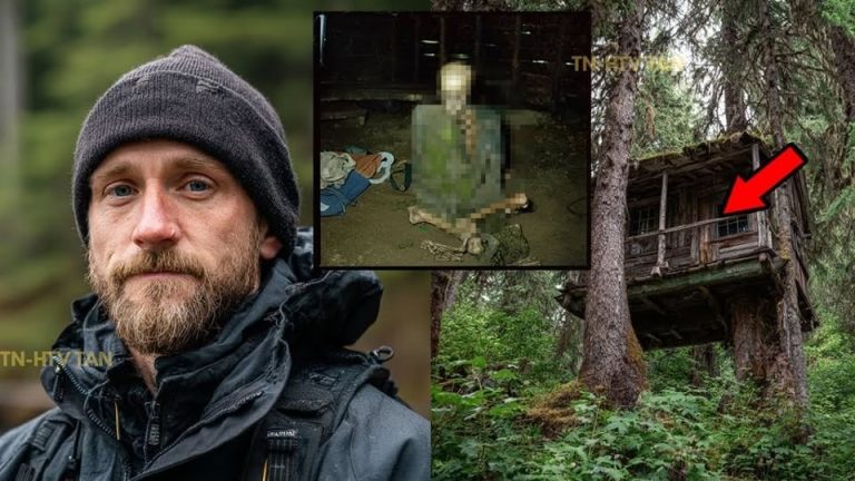 Turista desaparecido en los bosques de Ketchikan — hallado en una cabaña abandonada en un árbol 9 años después