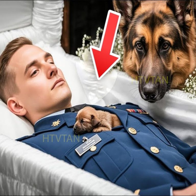 El perro no dejaba de ladrar frente al ataúd un milagro sucedió que nadie podía esperar…