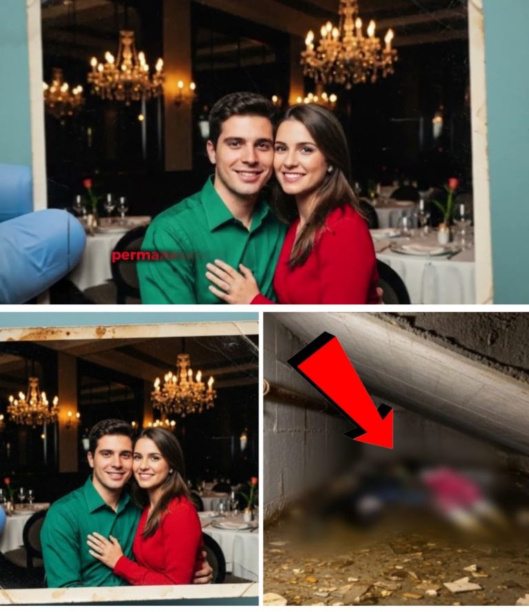 El Misterio de la Condesa: Cómo una Falla Estructural Ocultó la Verdad por 13 Años