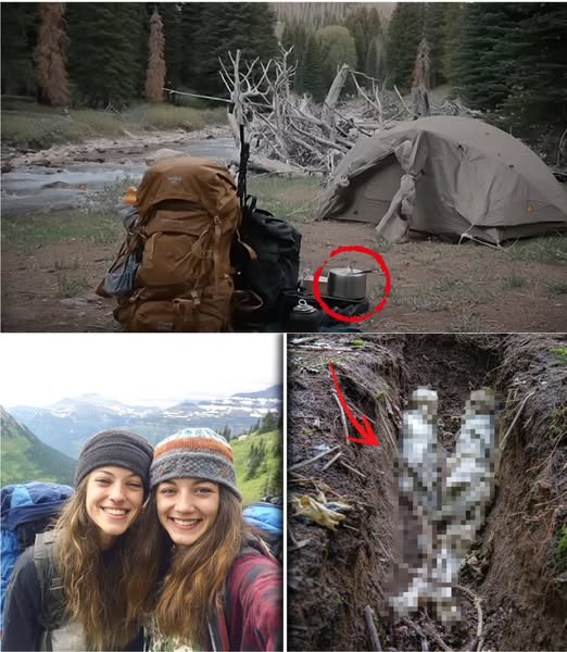 Las gemelas de Montana: siete años de silencio, un hallazgo en la tierra