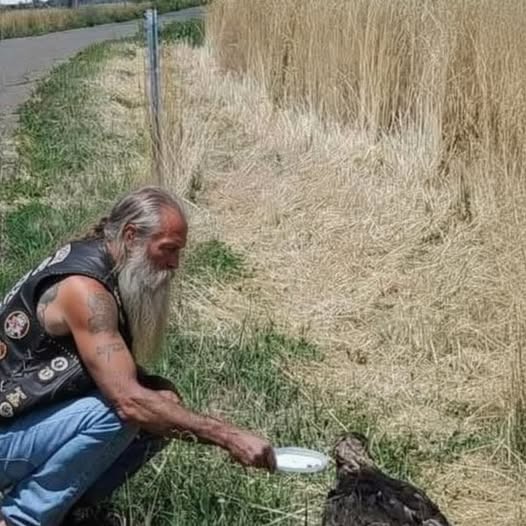 Un viejo motociclista detuvo su Harley por un pájaro moribundo y mi hija le preguntó por qué lloraba