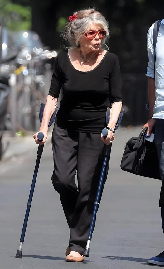 Brigitte Bardot Renoue avec Emmanuel Macron