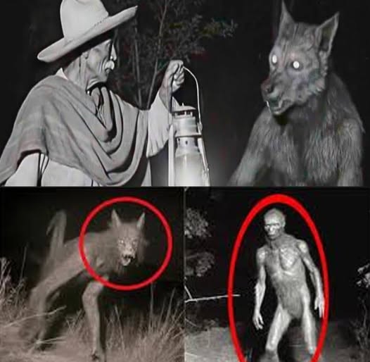 Le Dio de Comer al Nahual Durante 40 Años, Luego Descubrió Por Qué Nos Teme…